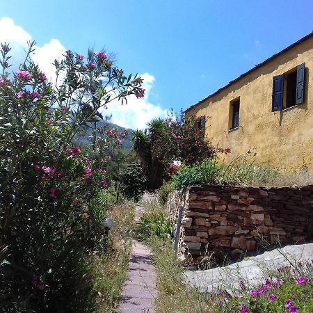 Ikarian Centre - Accommodation & Mountain Hiking Evdilos  Exterior foto