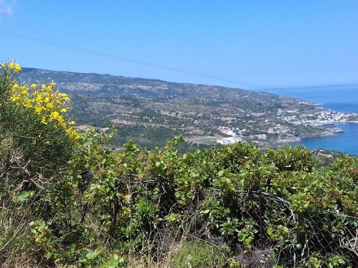 Ikarian Centre - Accommodation & Mountain Hiking Evdilos  Exterior foto