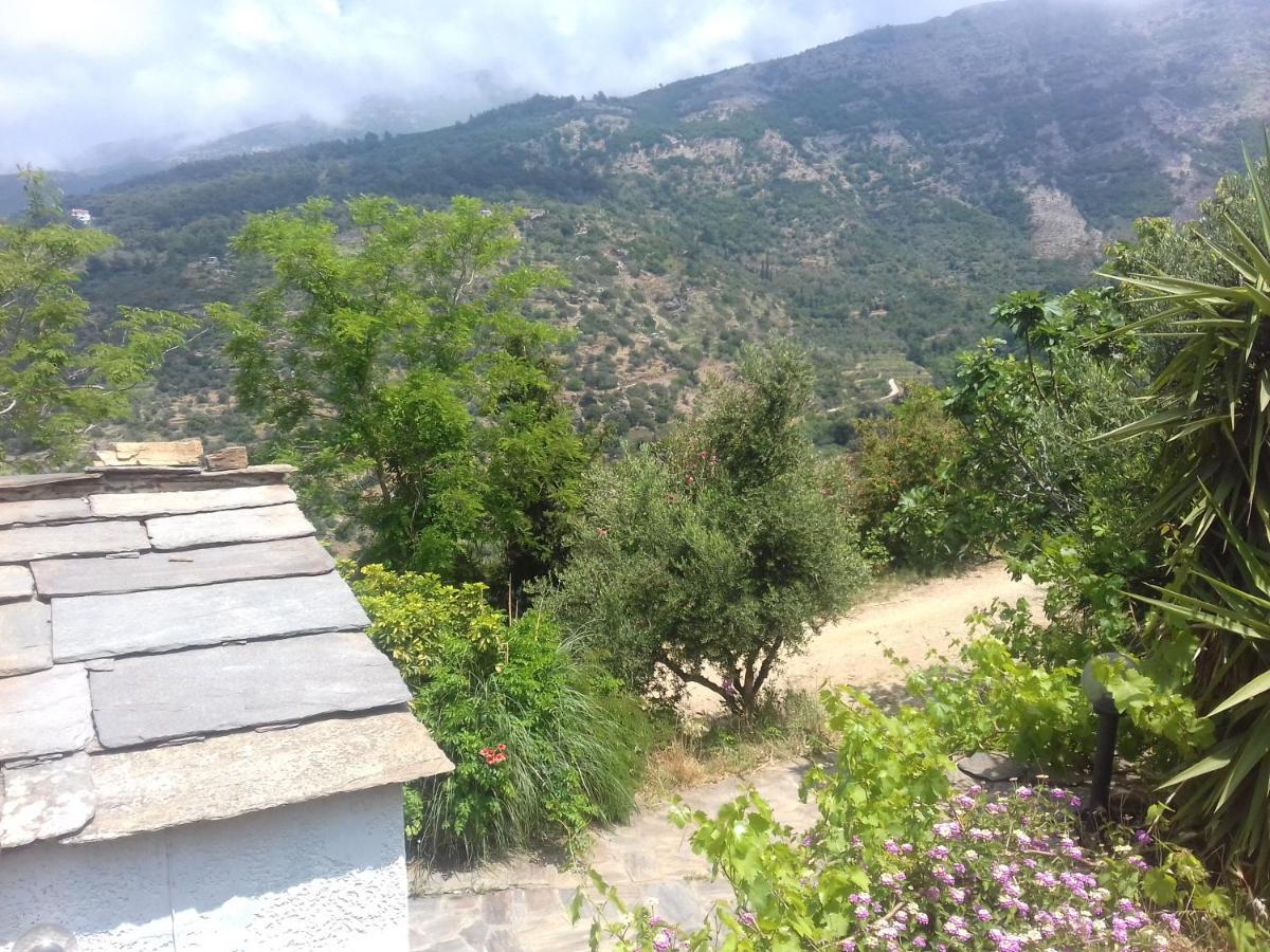 Ikarian Centre - Accommodation & Mountain Hiking Evdilos  Exterior foto